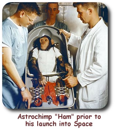 Astro Chimp Ham
